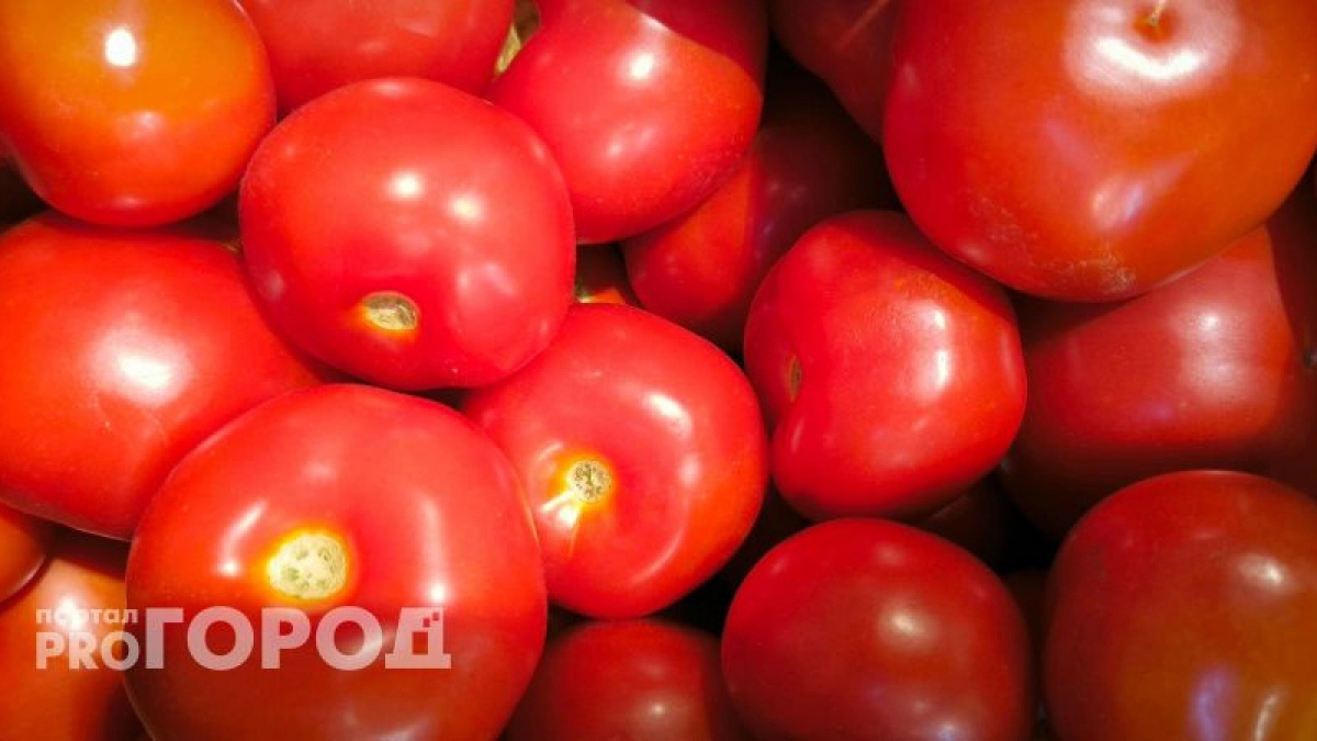 Ранние помидоры уже в июне: этот сорт томатов стойкий ко всем болезням и его не нужно пасынковать