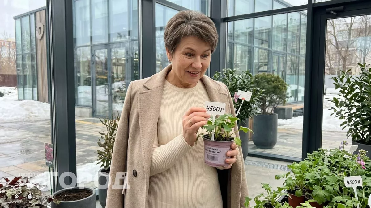 Бабушкины цветы которые в 2026 году стоят целое состояние в элитных питомниках