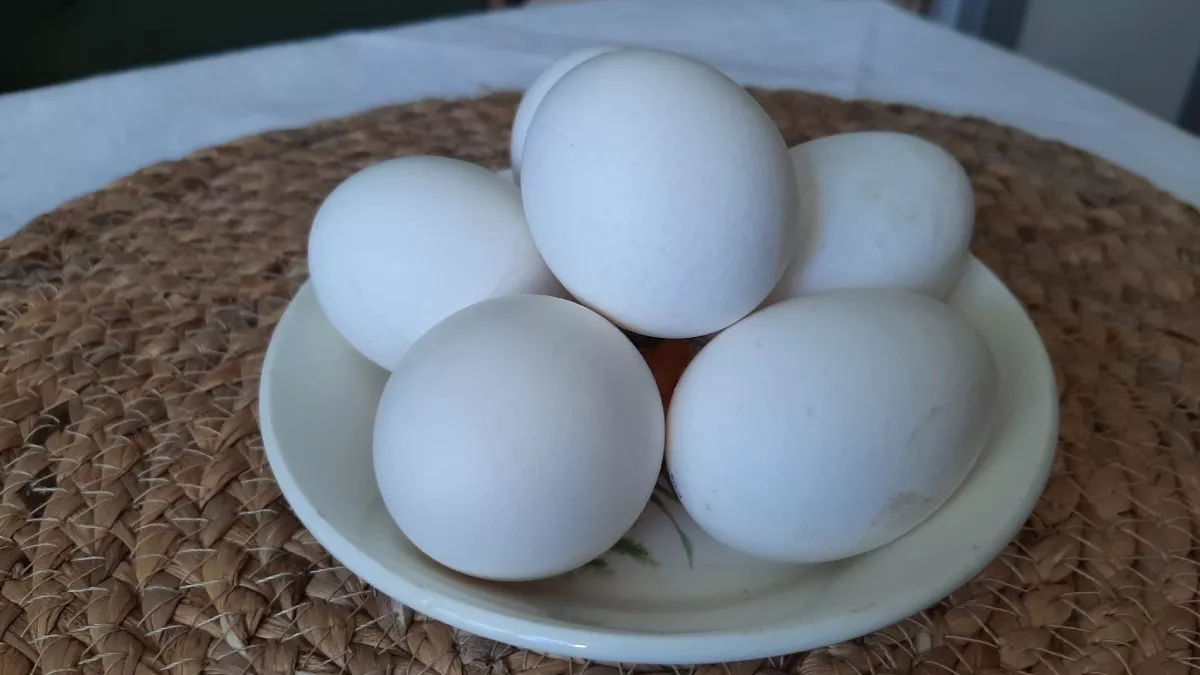 Купила 3 десятка по акции и пожалела, что не брала больше: простой способ заморозить яйца, о котором молчат продавцы