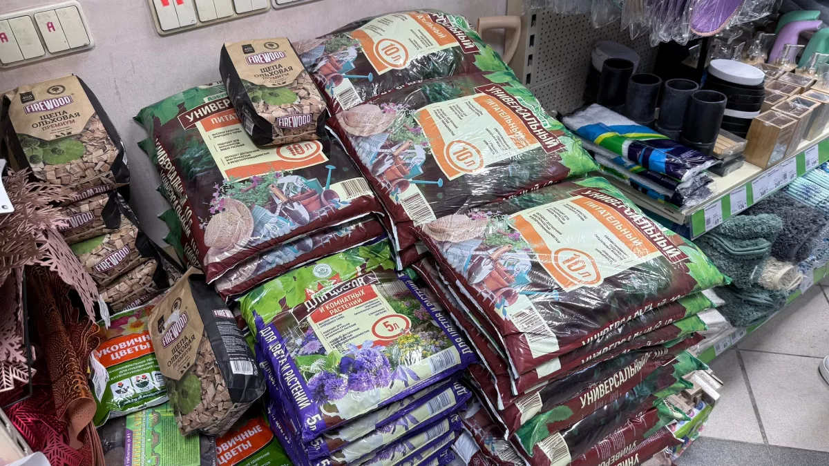 Букет, который не завянет, и стул за 1168 рублей: «Светофор» устроил праздничный апгрейд — нашли луковицы гладиолусов 