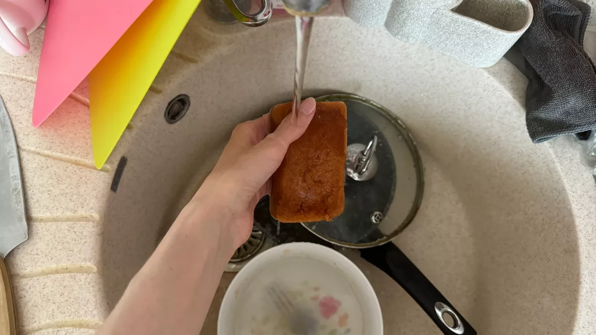 Губка кишит жизнью, а воняет как старая тряпка: японцы нашли гениальную замену — теперь мою посуду только так