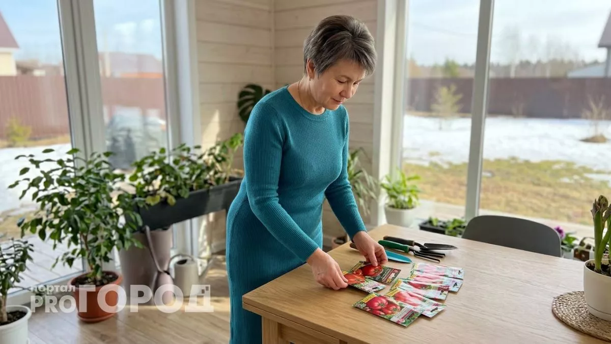 10 сортов и гибридов томатов со вкусом как из детства которые слаще меда и вырастают на обычных грядках