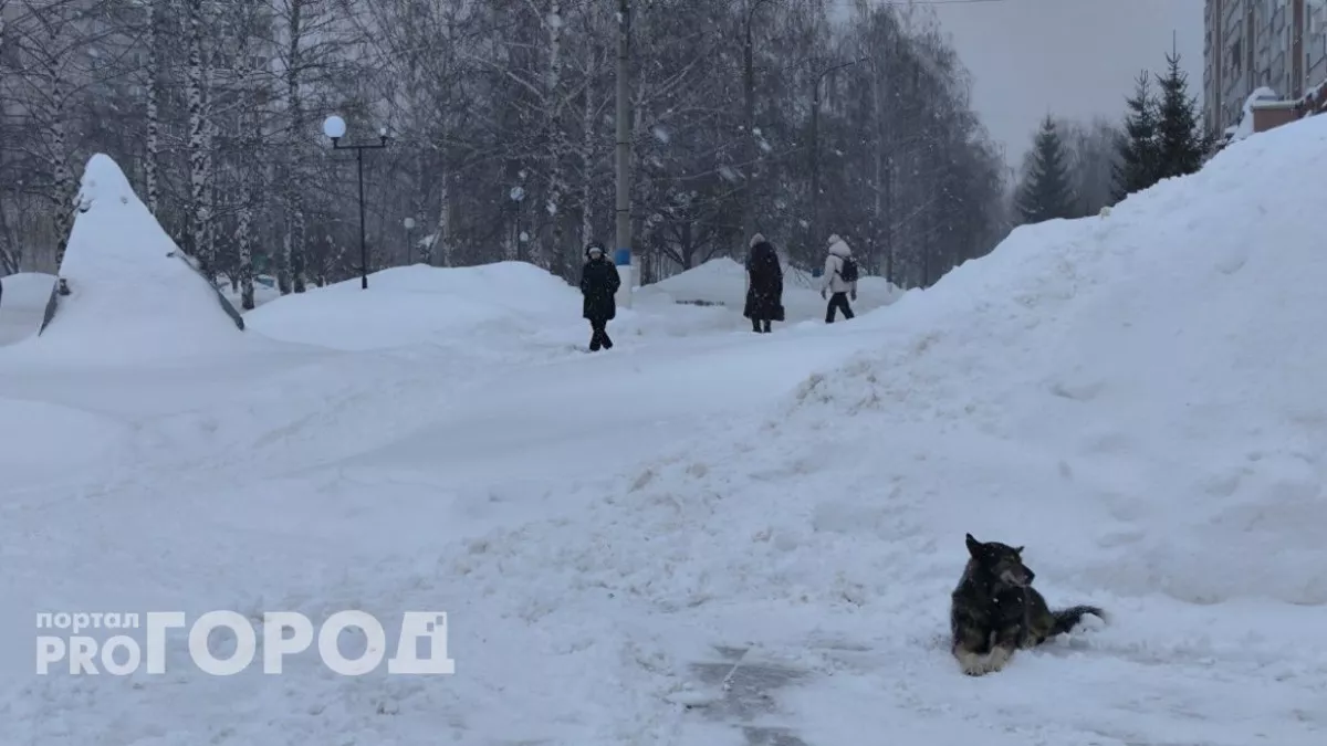 Во вторник ночью в Чувашии будет морозная погода, днем станет теплее