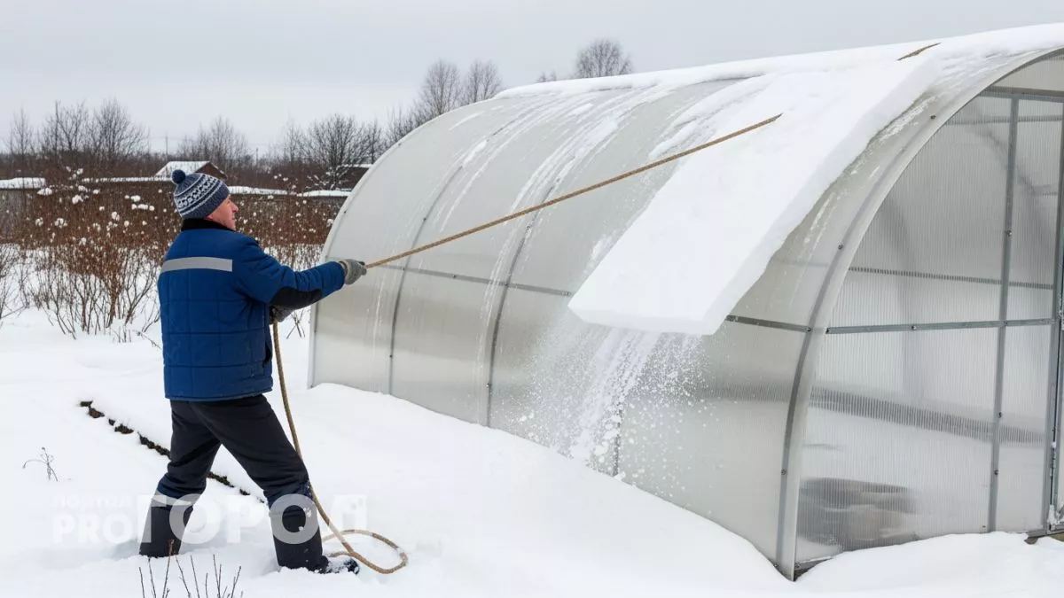Проверенный годами способ растопить снег в теплице без лопаты удивляет даже опытных дачников