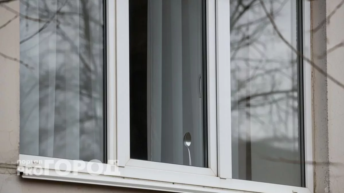 Простая ложка на окне работает лучше любой охранной системы: проверено годами