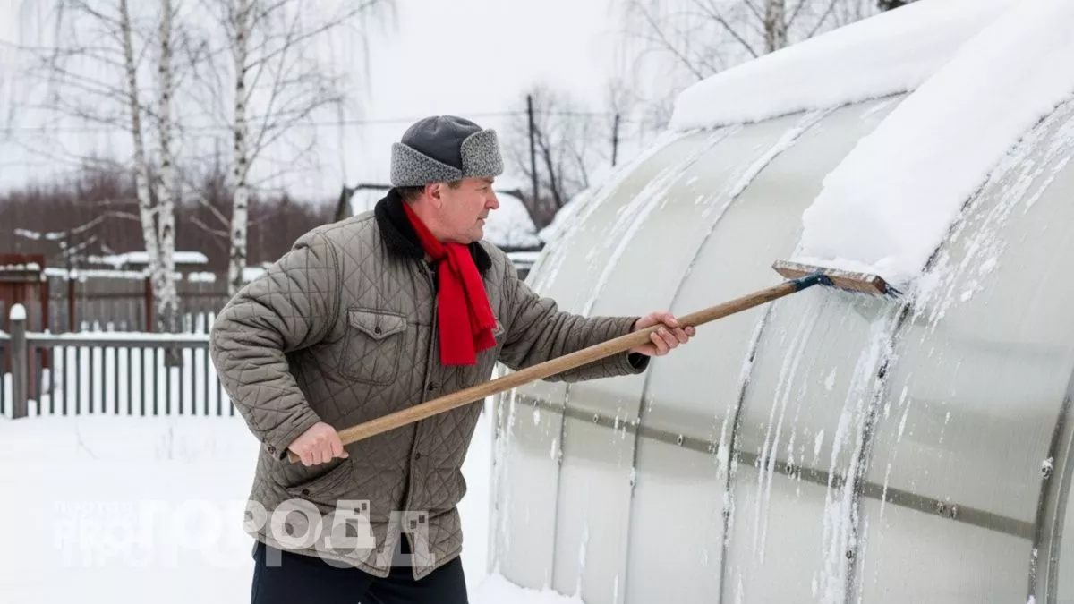 Старый способ, который спасает теплицы от поломки каждую зиму – спасаю от снега легко