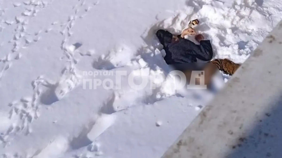 В Новочебоксарске на Ельниковском проезде обнаружен труп полуобнаженного мужчины