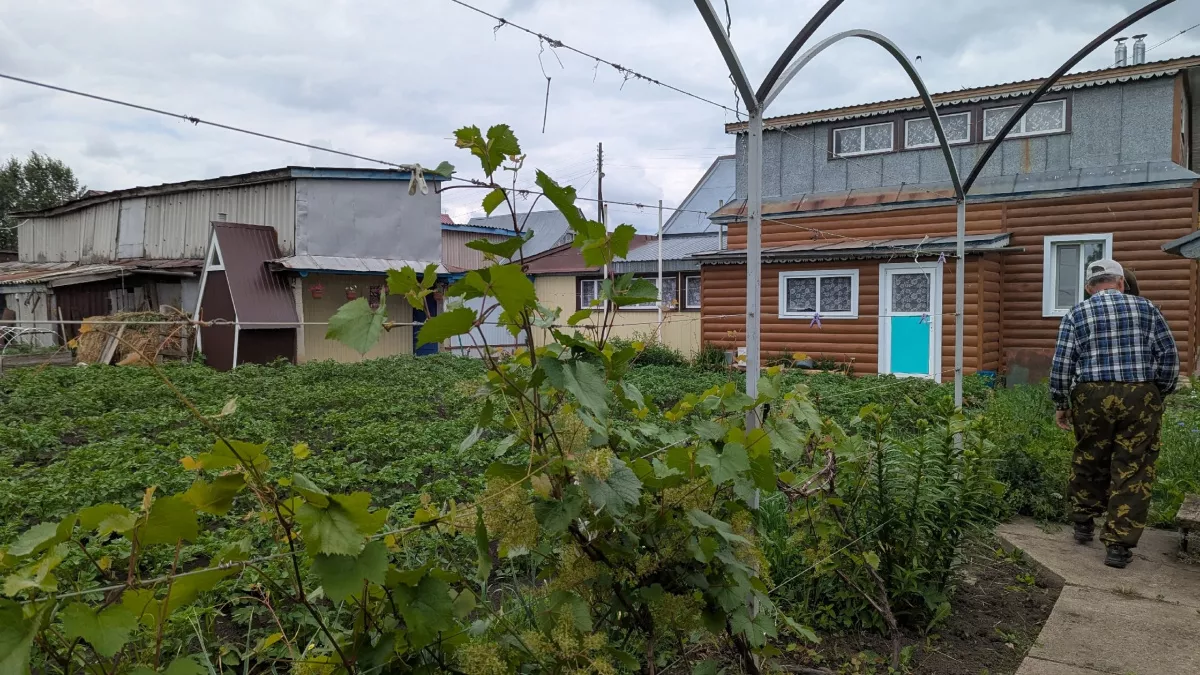 Пенсионеры, готовьтесь: с марта 2026 ваш огород влетит вам в копеечку — налоговая взялась за дачников