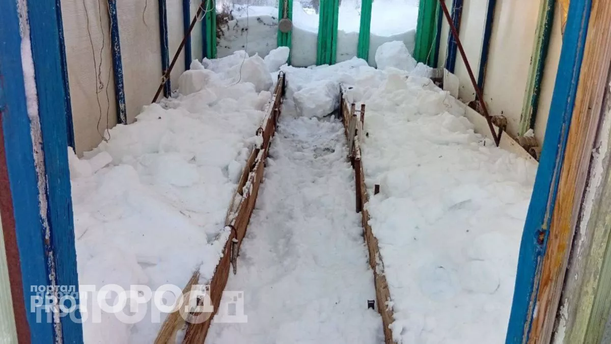 В марте насыпаю снег в теплицу – и летом собираю урожай в два раза больше