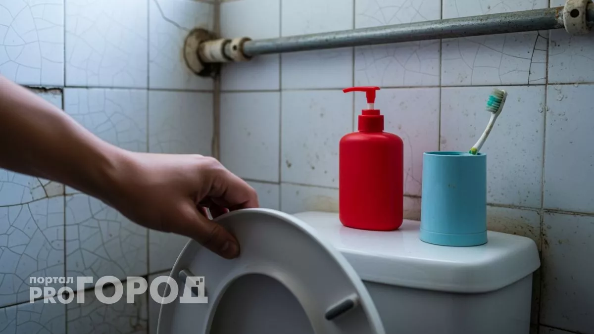 Узнала правду о смывании с открытой крышкой и теперь закрываю унитаз даже ночью