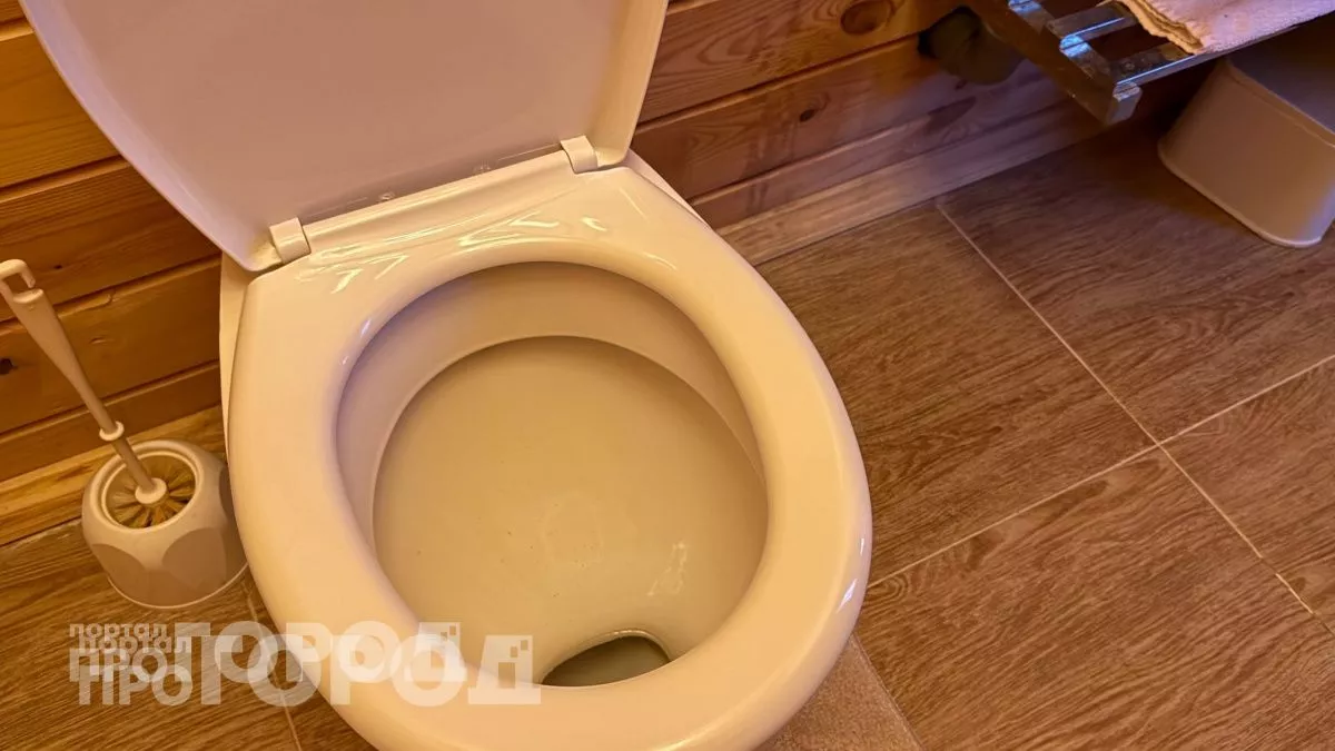 Этот предмет в сто раз грязнее унитаза: ни за что не догадаетесь о каком рассаднике бактерий идет речь