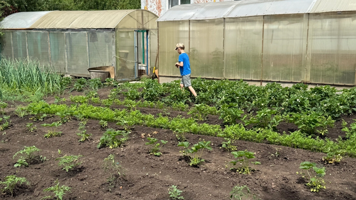 Грядки без затрат: 10+ идей из подручных материалов — дачники уже оценили