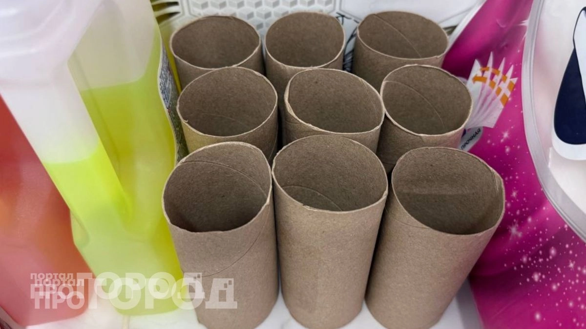 Втулки от туалетной бумаги не выбрасываю, а внедряю в хозяйство: избавляют от пыли лучше тряпки  