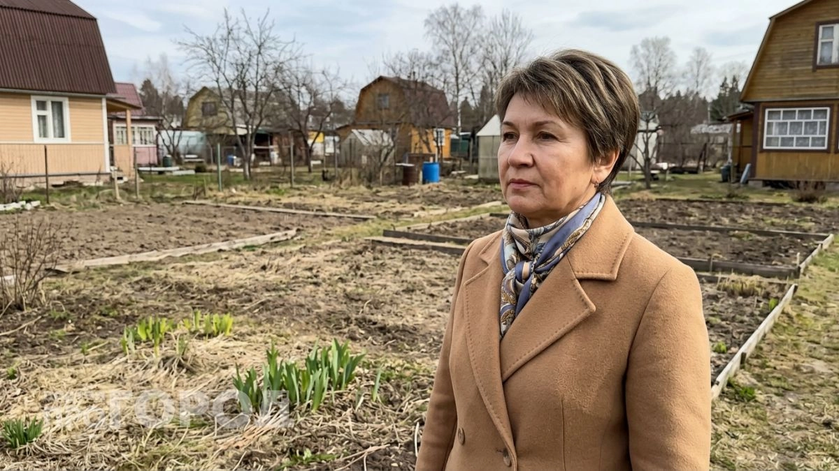 Девять проверенных растений которые избавят от бесконечной прополки и косьбы травы