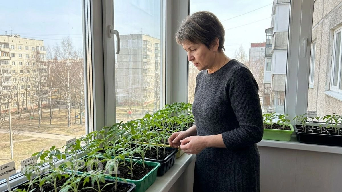 Семь популярных заблуждений о гуматах которые мешают получить реальный урожай