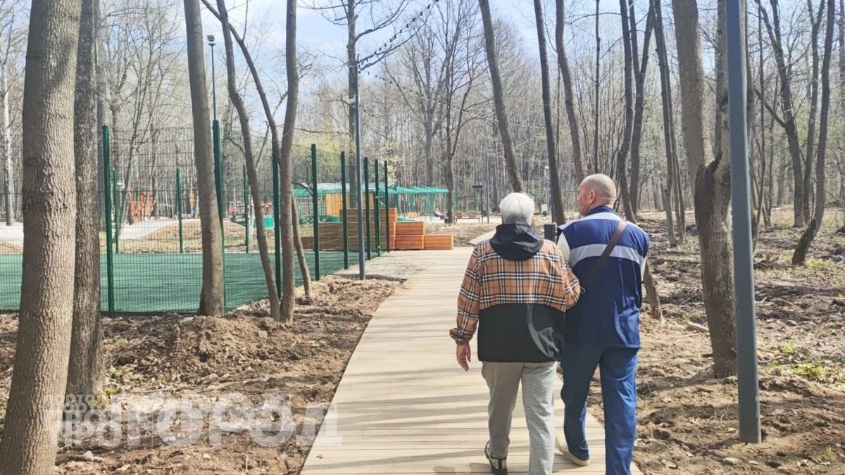 Доплаты до 36 тысяч рублей: какие пенсионеры получат больше в 2026 году