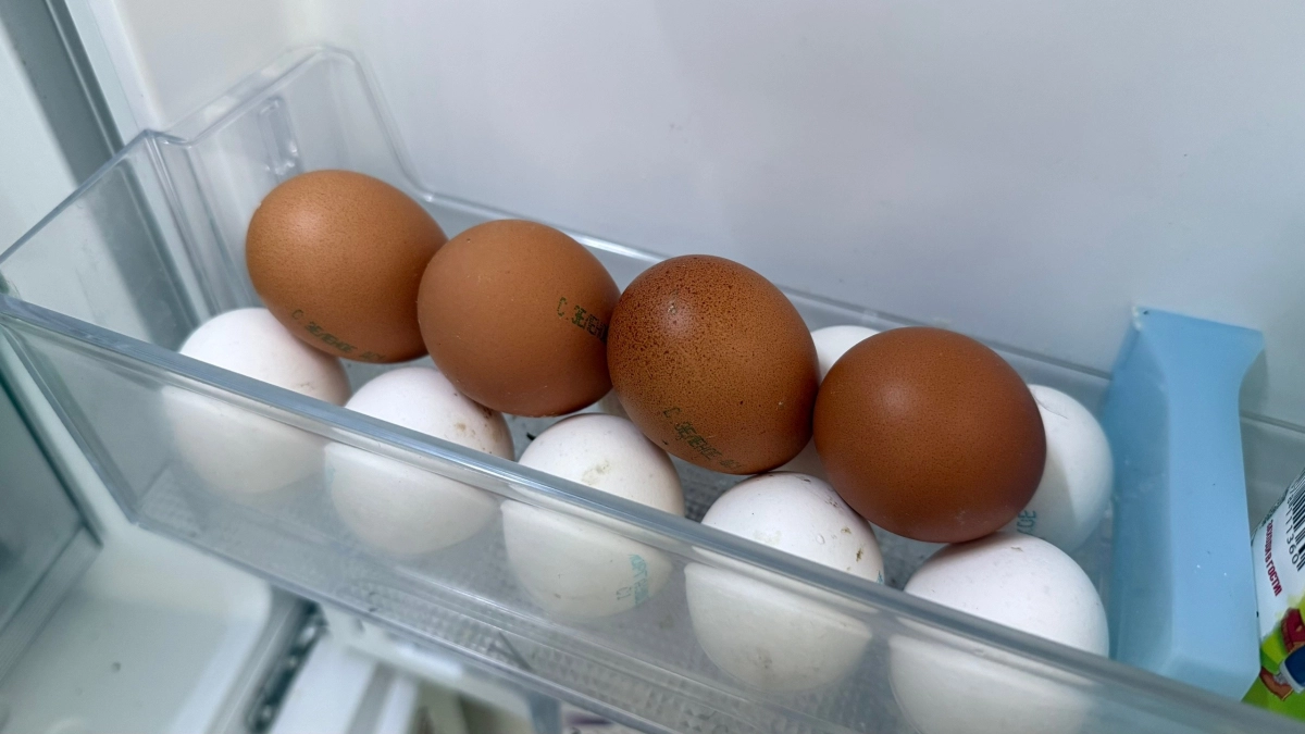 Закопал яйцо — собрал двойной урожай: необычный способ улучшить почву, который стал хитом у дачников