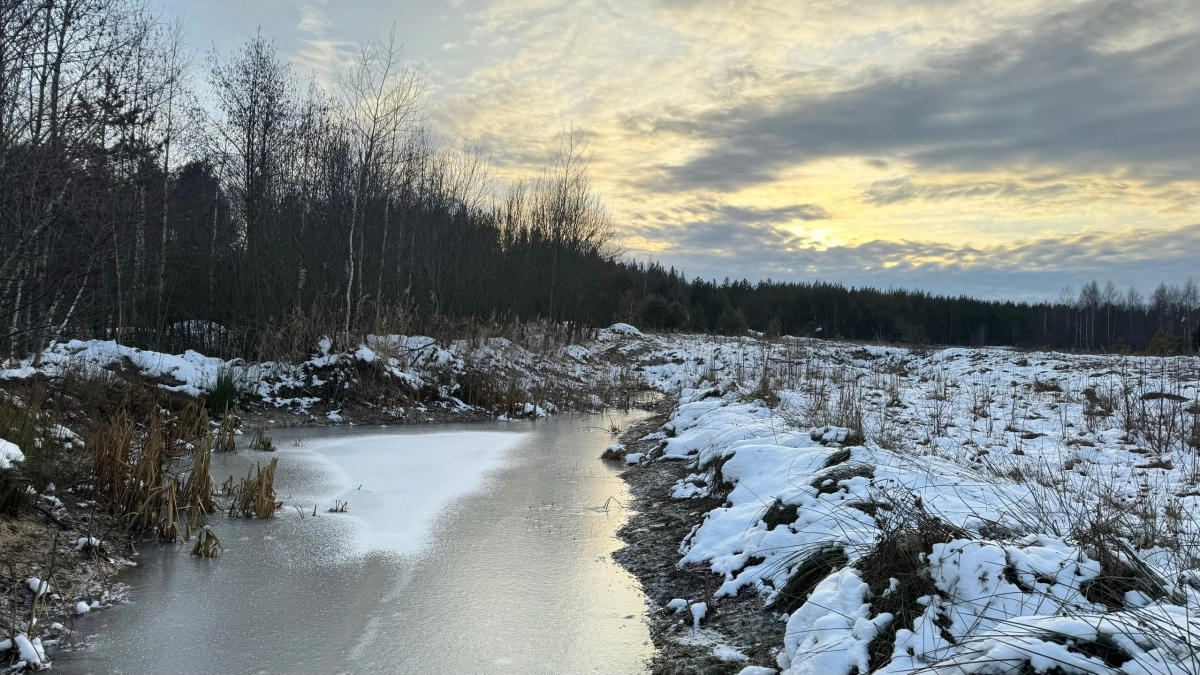 От +20 до минуса за неделю: какой погодный вихрь ждёт Центральную Россию