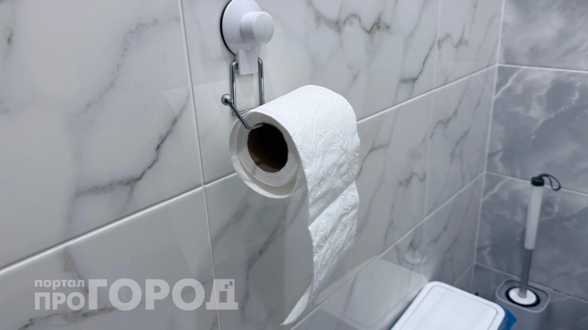 Наша семья перестала покупать туалетную бумагу: проверили европейский способ – удобнее и чище