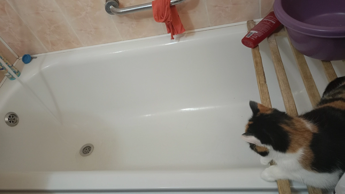 Масштабное отключение воды в Новочебоксарске и индексация пенсий: главные новости за 23 марта