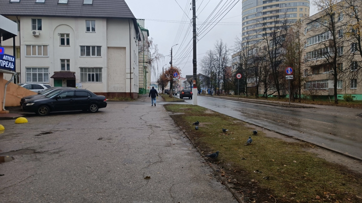 Температура бьёт рекорды: март 2026 может войти в историю — подробности от метеорологов