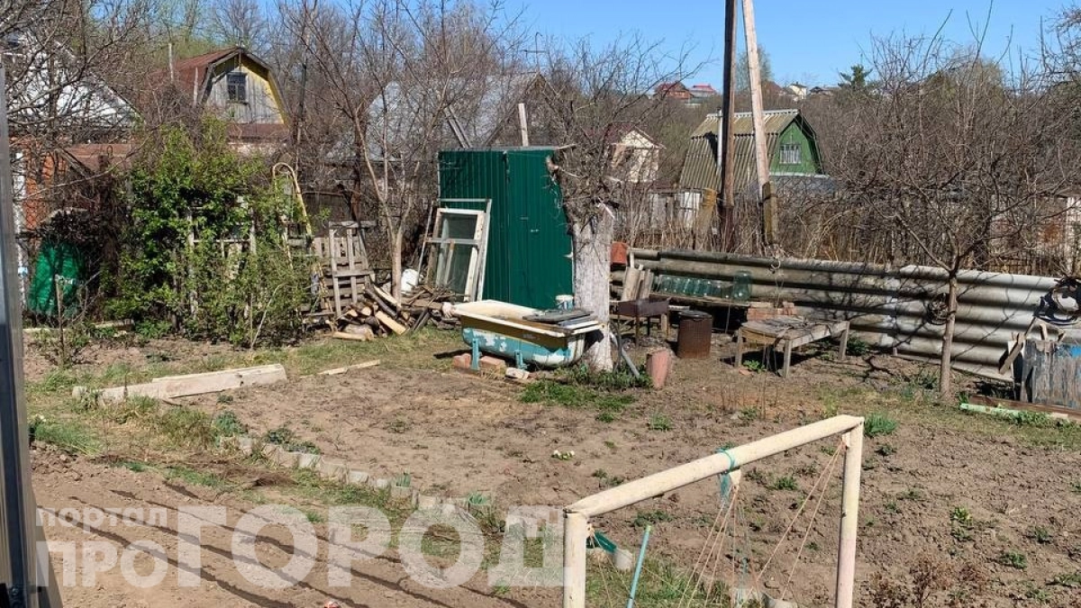 В России начали изымать участки у владельцев: дачу пора приводить в порядок — подробности нового закона