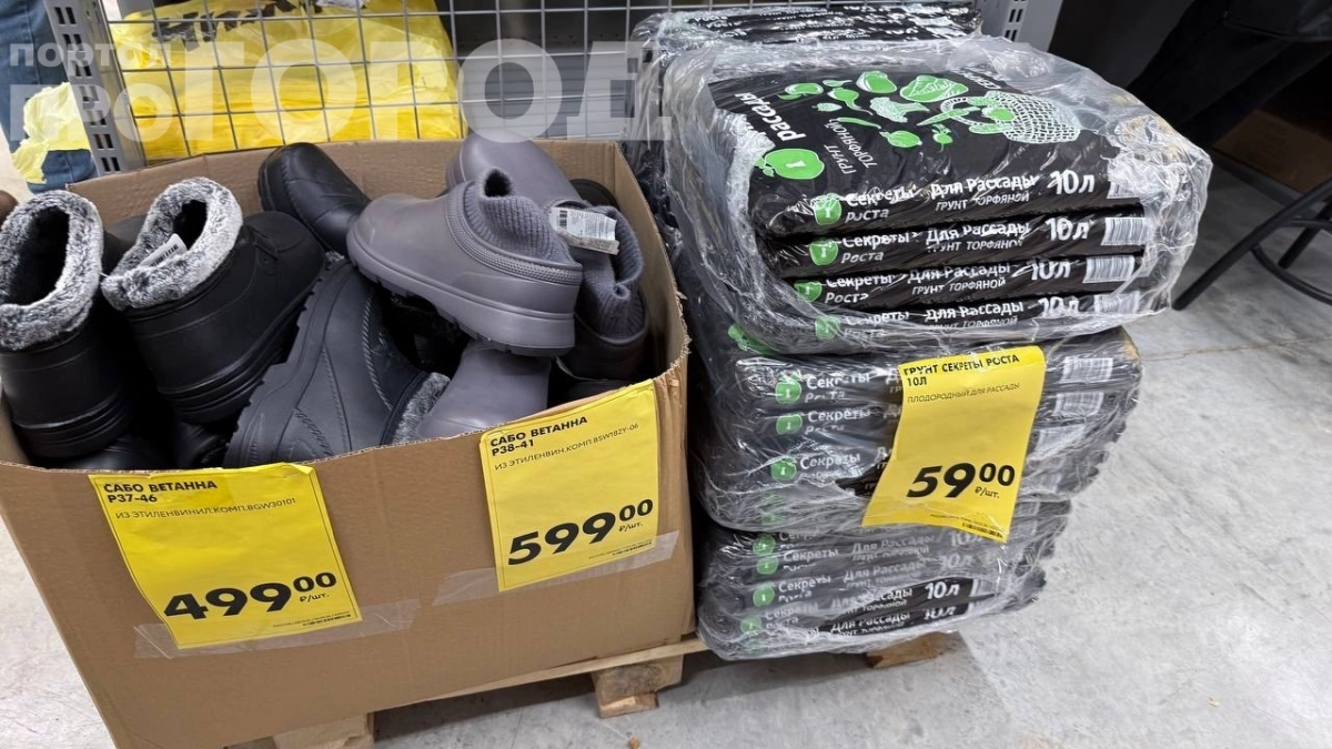 Дачники уже бегут в Чижик: 35+ товаров для дома и дачи — галоши по 500 и жилетки по 999 рублей 