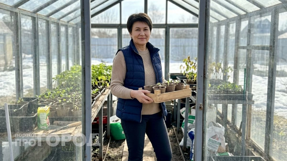 Когда уже можно сеять в теплицу и почему ориентироваться нужно только на температуру почвы