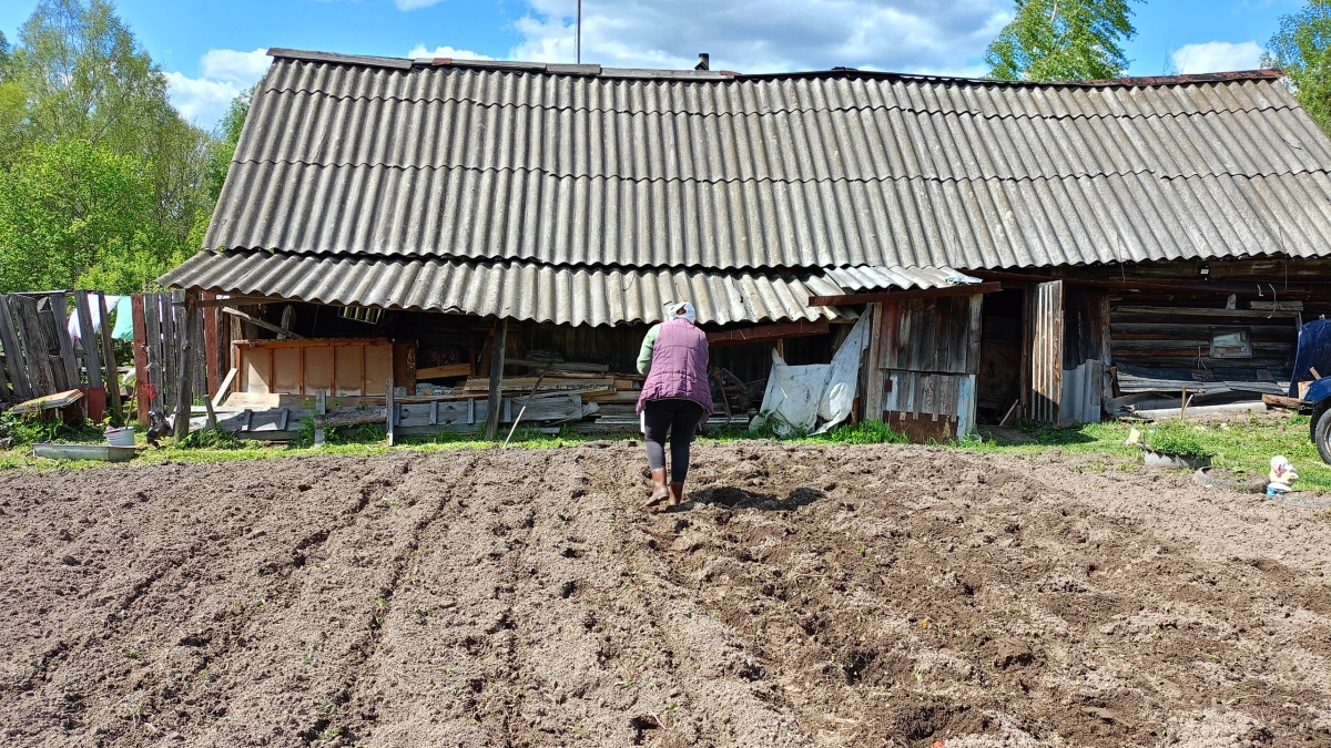 Урожай в 2 раза больше без лопаты: как я отказался от перекопки и сэкономил 170 часов в год