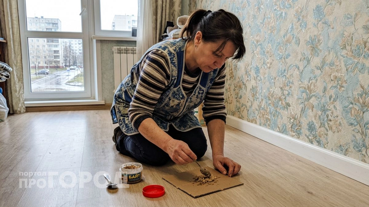 Купила в аптеке за 36 рублей порошок от кашля, а он вытравил тараканов из квартиры за три дня