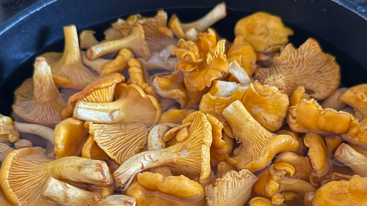 Больше не мойте эти продукты перед хранением: ошибка, из‑за которой еда портится в 3 раза быстрее