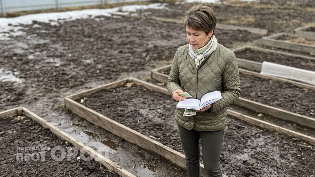 Сроки посева моркови в 2026 году для защиты от вредителей и получения ровных корнеплодов без химии