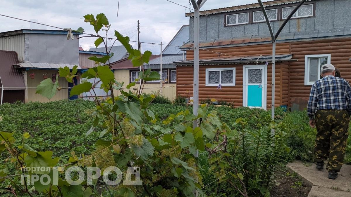 Вашу дачу снесут и не спросят: под угрозой тысячи частных домов россиян