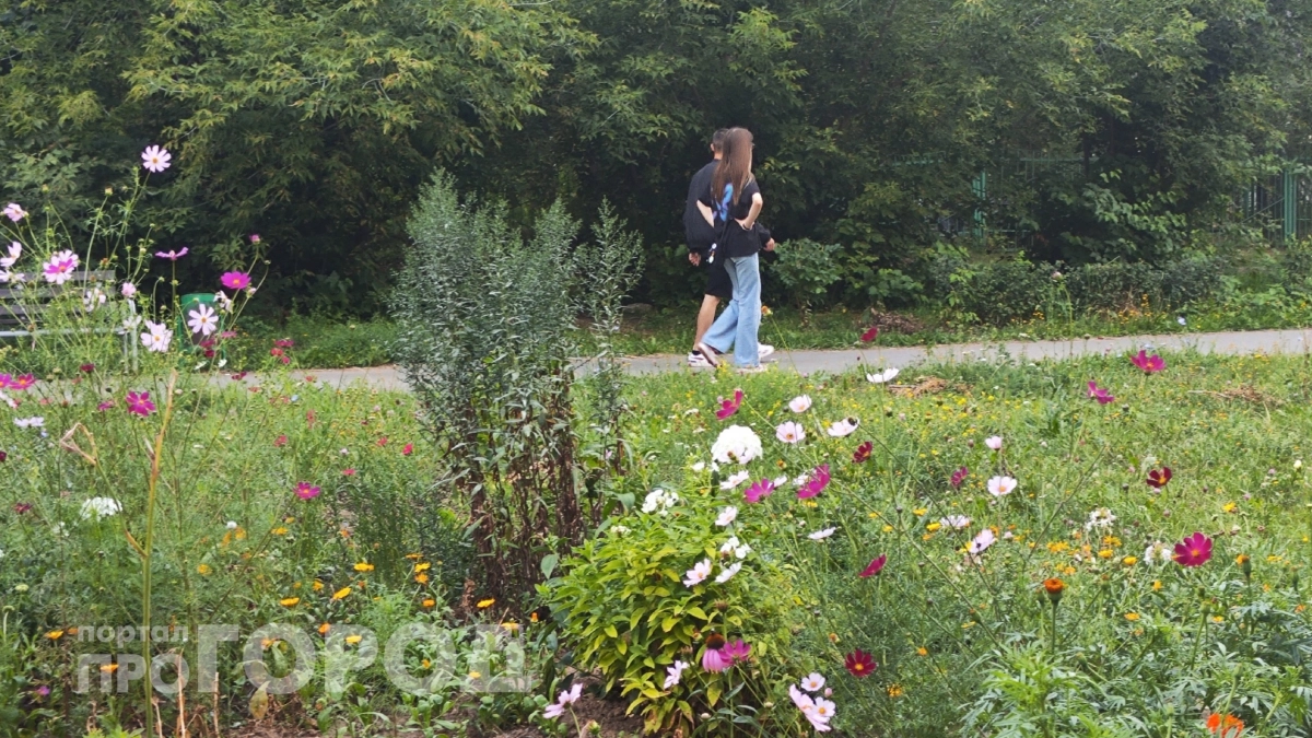 Синоптики взялись за голову: стало понятно каким будет лето 2026 в России