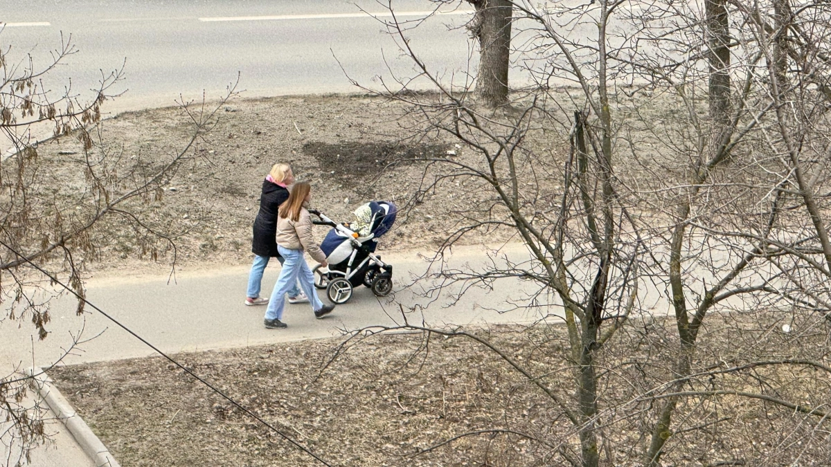 СФР по Чувашии назвал главные причины отказов в едином пособии на детей