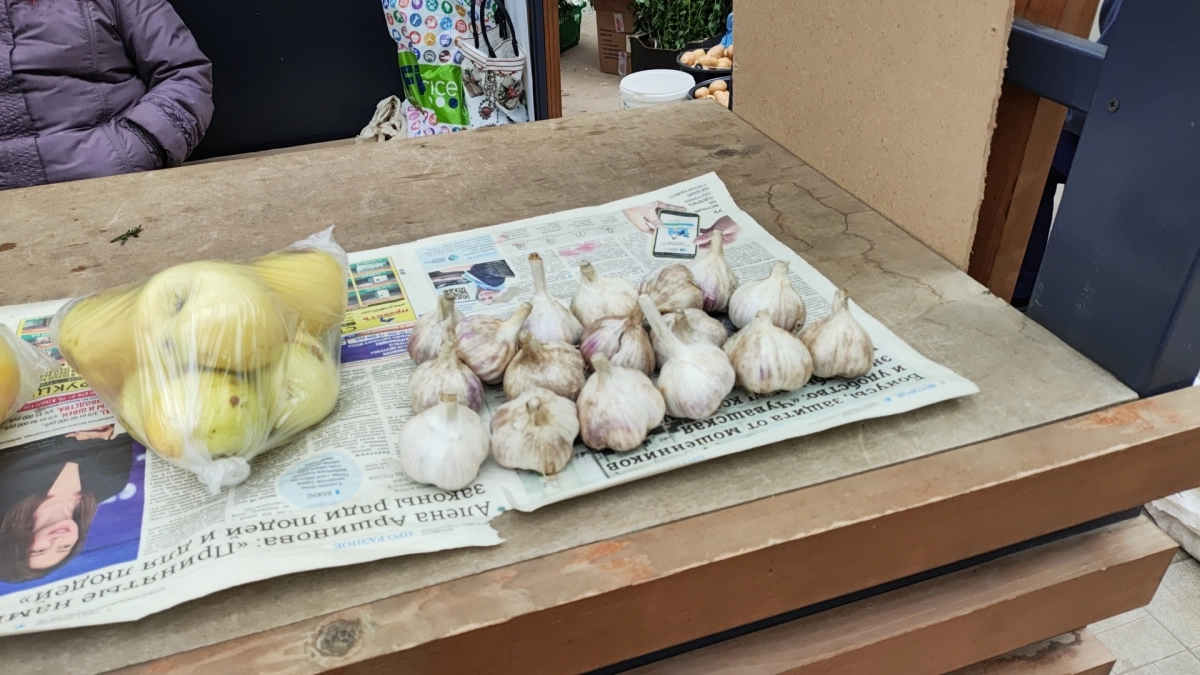 Не храните чеснок так: 5 действий, которые превращают ценный продукт в бесполезный