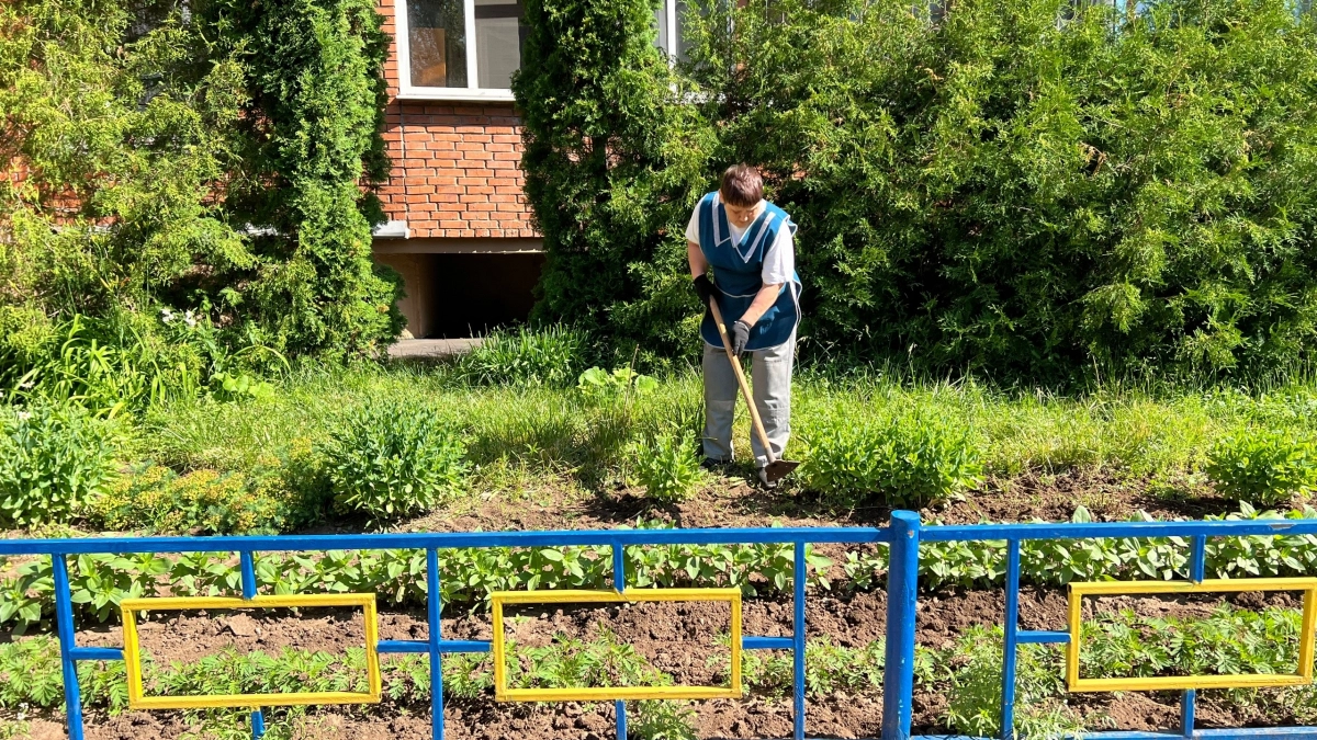 Вы не поверите, как изменилась дача за 40 лет: от равенства к статусу — что пошло не так