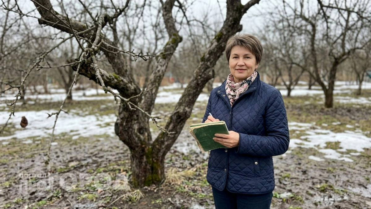 Как правильно обработать сад весной и почему опрыскиватель бесполезен без предварительной уборки