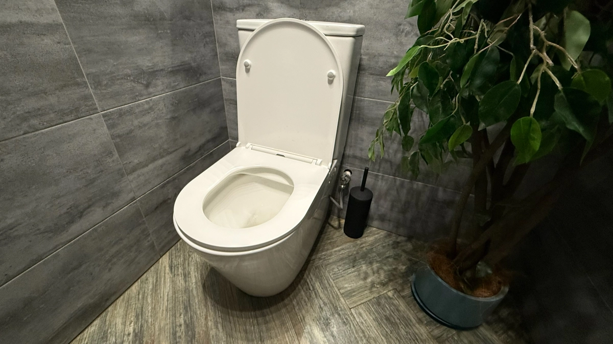 Сантехник раскрыл секрет: как убрать запах в туалете без химии — нужен всего один предмет