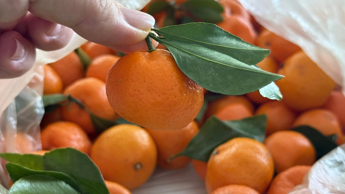 Европейцы это давно поняли, а до нас только дошло: корки мандаринов ценнее самих плодов и вот почему