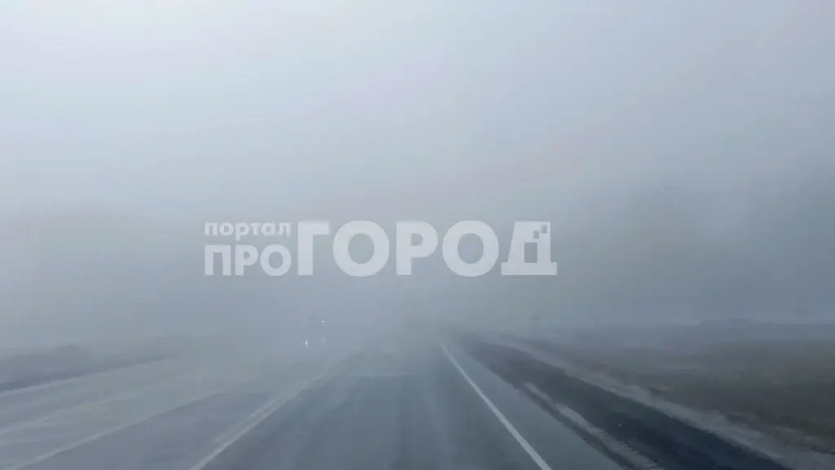 Туман с видимостью 500 м накрыл Чувашию до утра 3 апреля