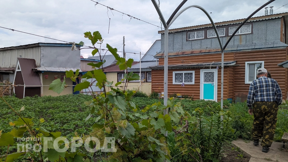 Дачники массово выбрасывают тяпки: новый инструмент делает за них всю работу – заменяет 5 приспособлений