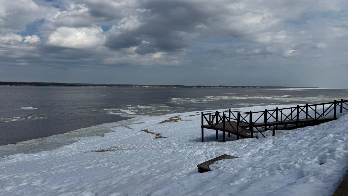 Дождь, мокрый снег и порывистый ветер: Чувашию накроет в начале недели