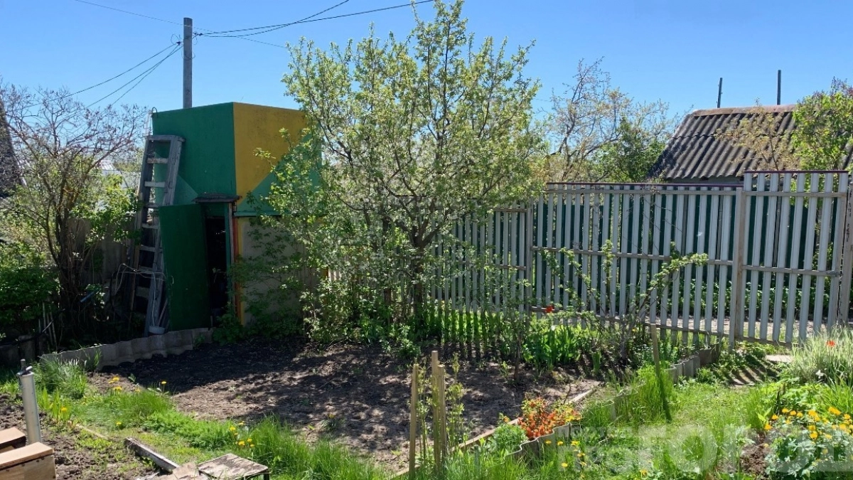 Собирал по стакану — сейчас по ведру: обработка весной утраивает урожай смородины — секрет с кипятком от деда Егора