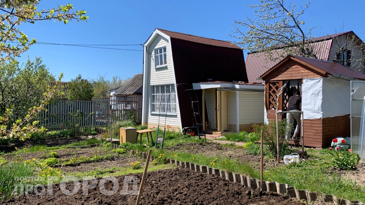 Участок выглядит как деревенский колхоз: скрываю сарай и компост этими методами — больше не стыжусь звать друзей 