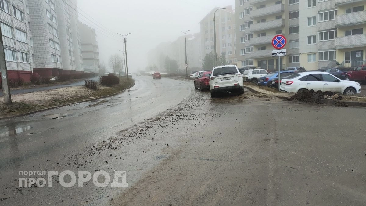 Новочебоксарский воздух назвали чистым и безопасным