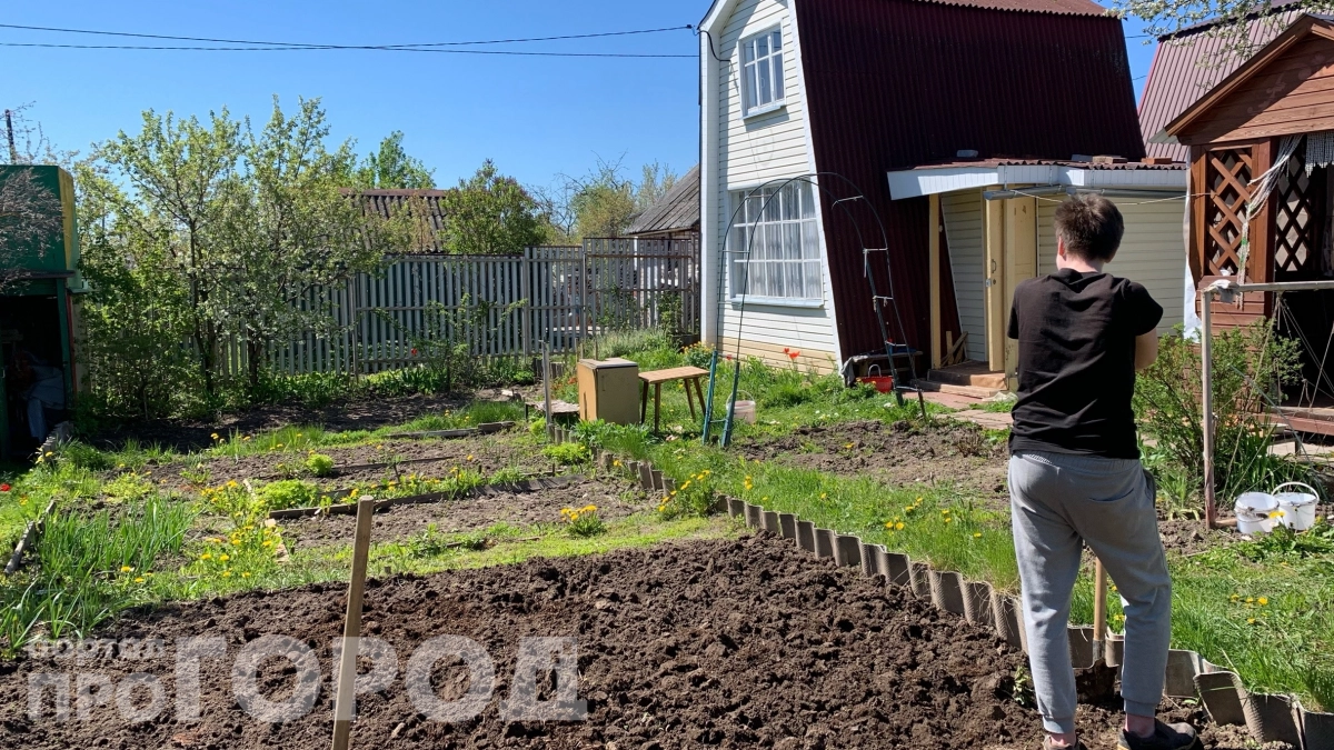 Сосед годами сливал туда септик, а сейчас расплачивается: вымерли все растения и вот почему 