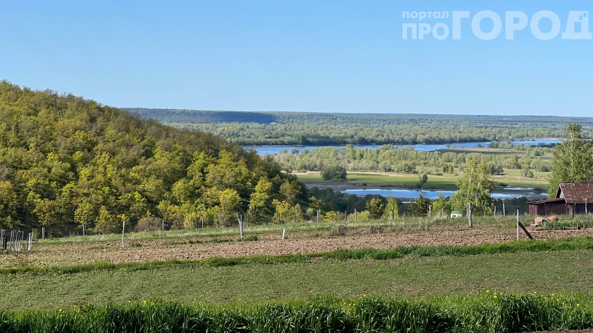 Не как в прошлые годы: лето 2026 удивит россиян — жара до +35 °C и обильные дожди