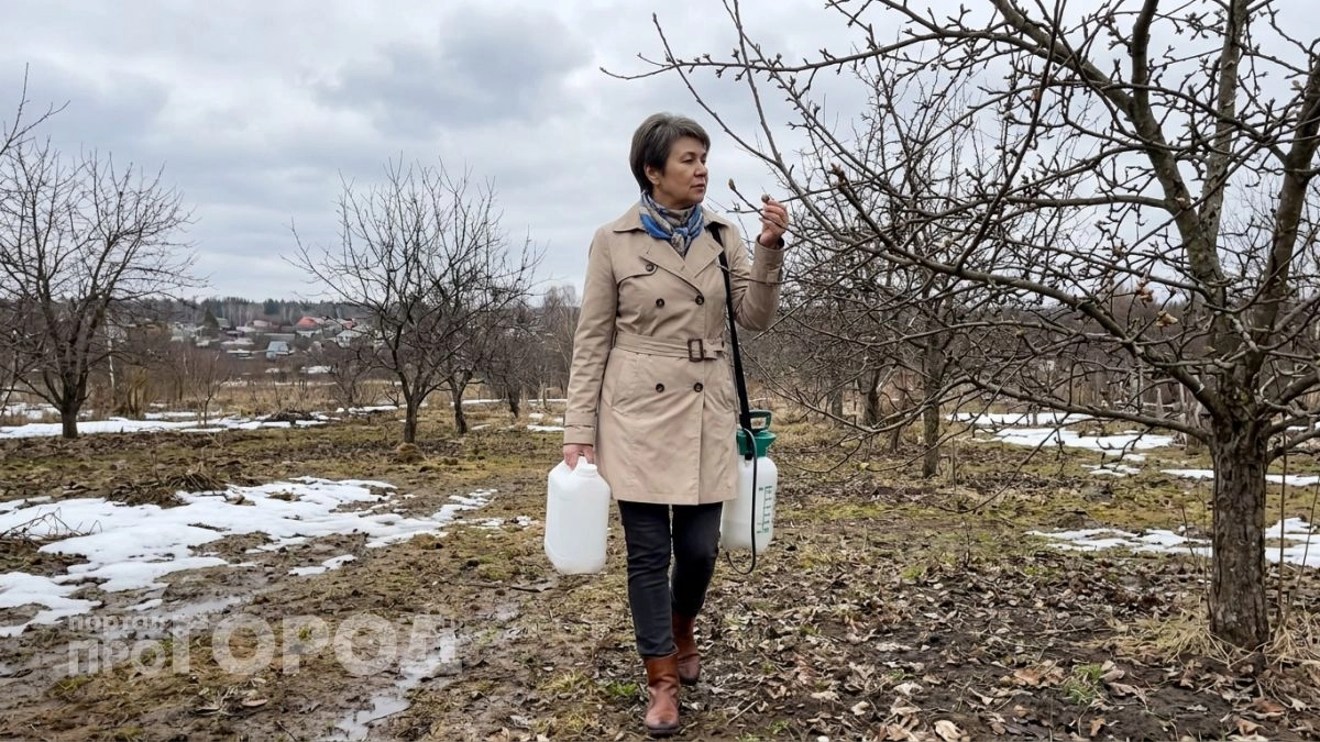 Медный купорос или бордосская смесь чем лучше обработать сад в апреле и как не сжечь почки