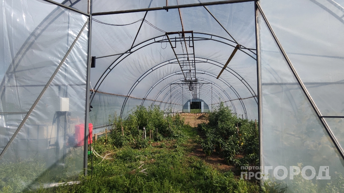 Пленка и карбонат теряют лидерство: найден новый укрывной материал для теплиц - прозрачнее слезы и крепче стали